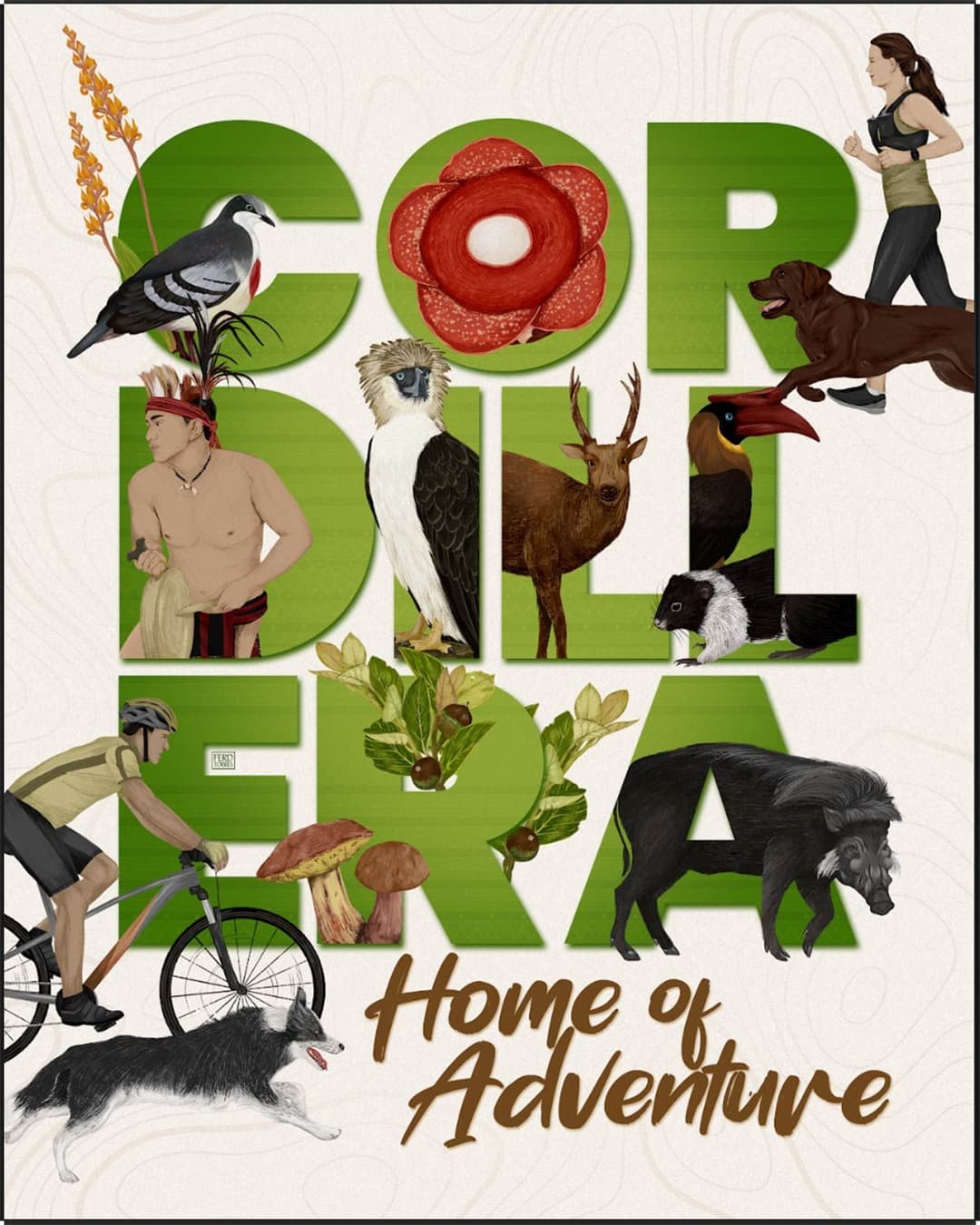 Cordillera Mountain Ultra 2025 race event poster image