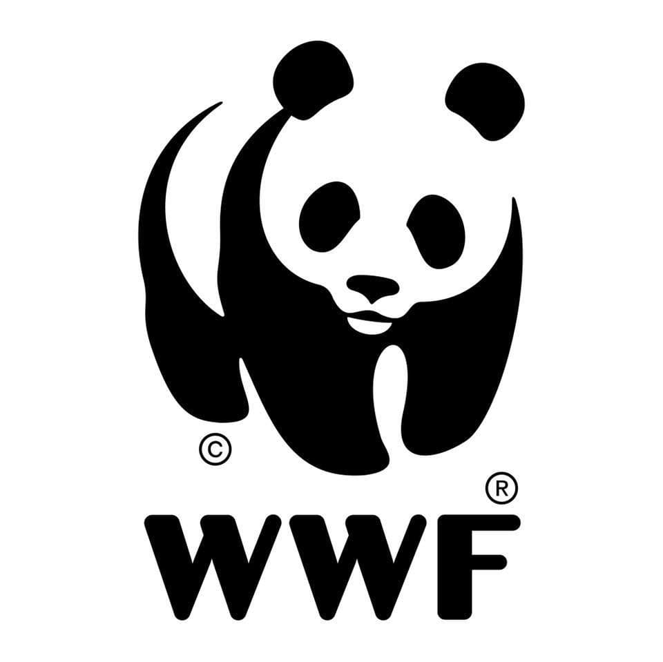 WWF Earth Hour Virtual Run 2026 race event logo image
